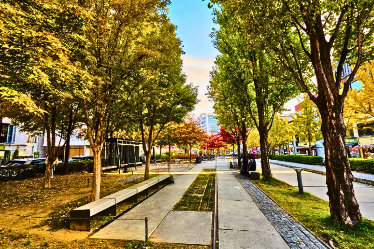 Gyeongui Line Forest Park